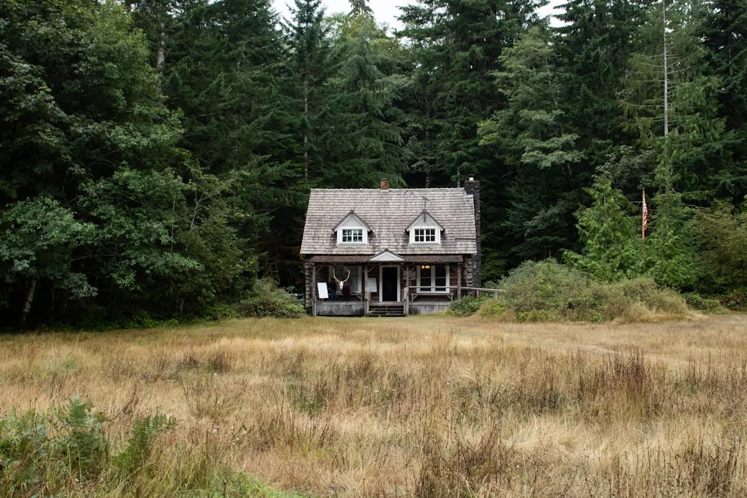 A small wooden house stands at the edge of a forest near Puigpunyent, surrounded by tall trees and a grassy field—a perfect mountain retreat.