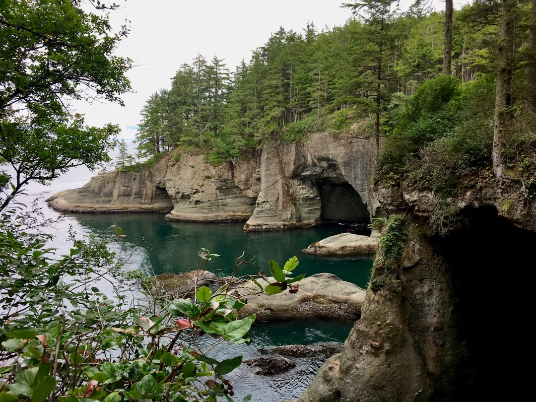 Rocky sea cliffs with cave openings and evergreen trees rise above the green waters of Cala Pi, perfect for eco-kayaking adventures under an overcast sky.