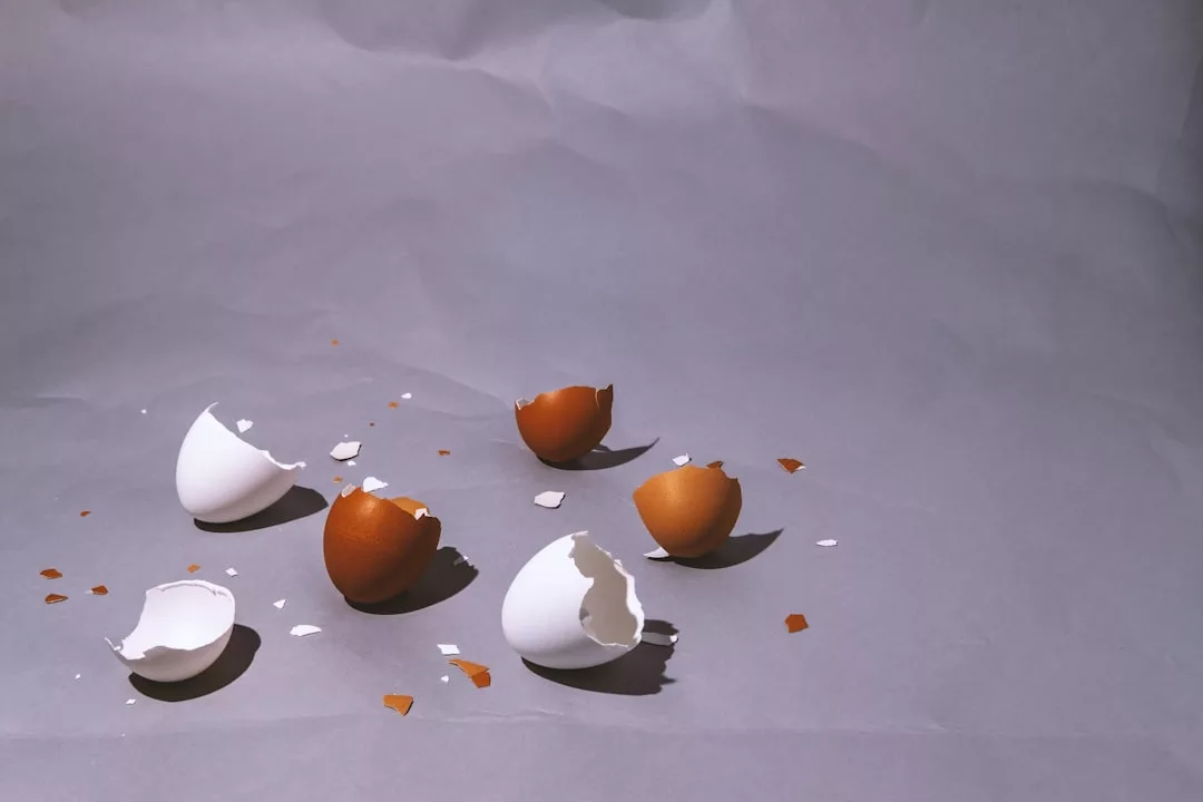 Four white and three brown eggshells scattered on a gray surface with small shell fragments around them—a rustic scene reminiscent of farmhouse restorations in Felanitx, where simple moments meet the charm of luxury retreats.
