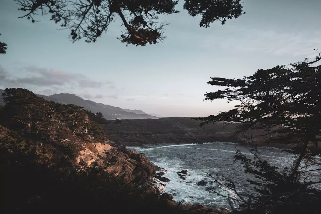 Rocky coastline framed by trees with waves crashing and distant mountains under a cloudy sky at sunset near Portocolom, highlighting the region’s natural beauty and the importance of coastal restoration efforts.
