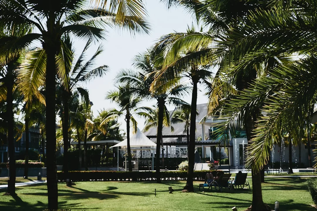 Palm trees and lounge chairs in a sunny, tropical resort garden at Colònia de Sant Jordi, offering an ideal setting for luxury corporate retreats with stylish buildings in the background.