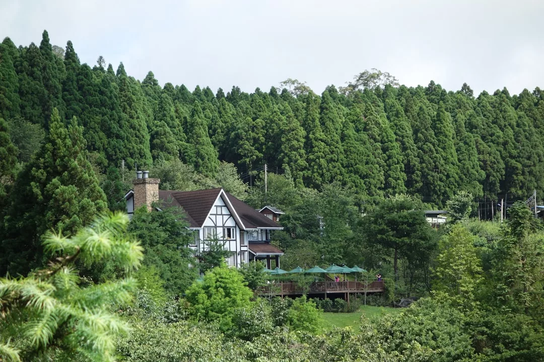 A white cottage with a dark roof, nestled among dense green trees near S’Albufera, features a deck with green umbrellas—perfect for those seeking peaceful eco-retreats in Alcúdia.