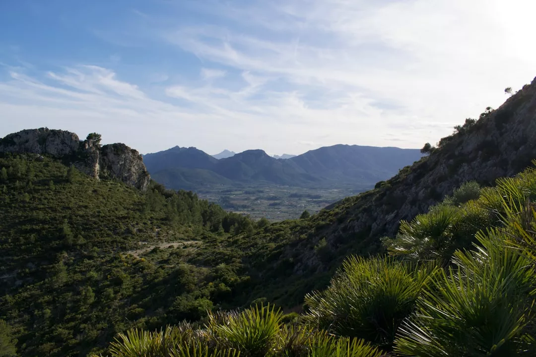 Green hills with dense shrubs and distant mountains under a blue sky with wispy clouds, capturing some of the stunning Mallorca highlights perfect for luxury photobooks.