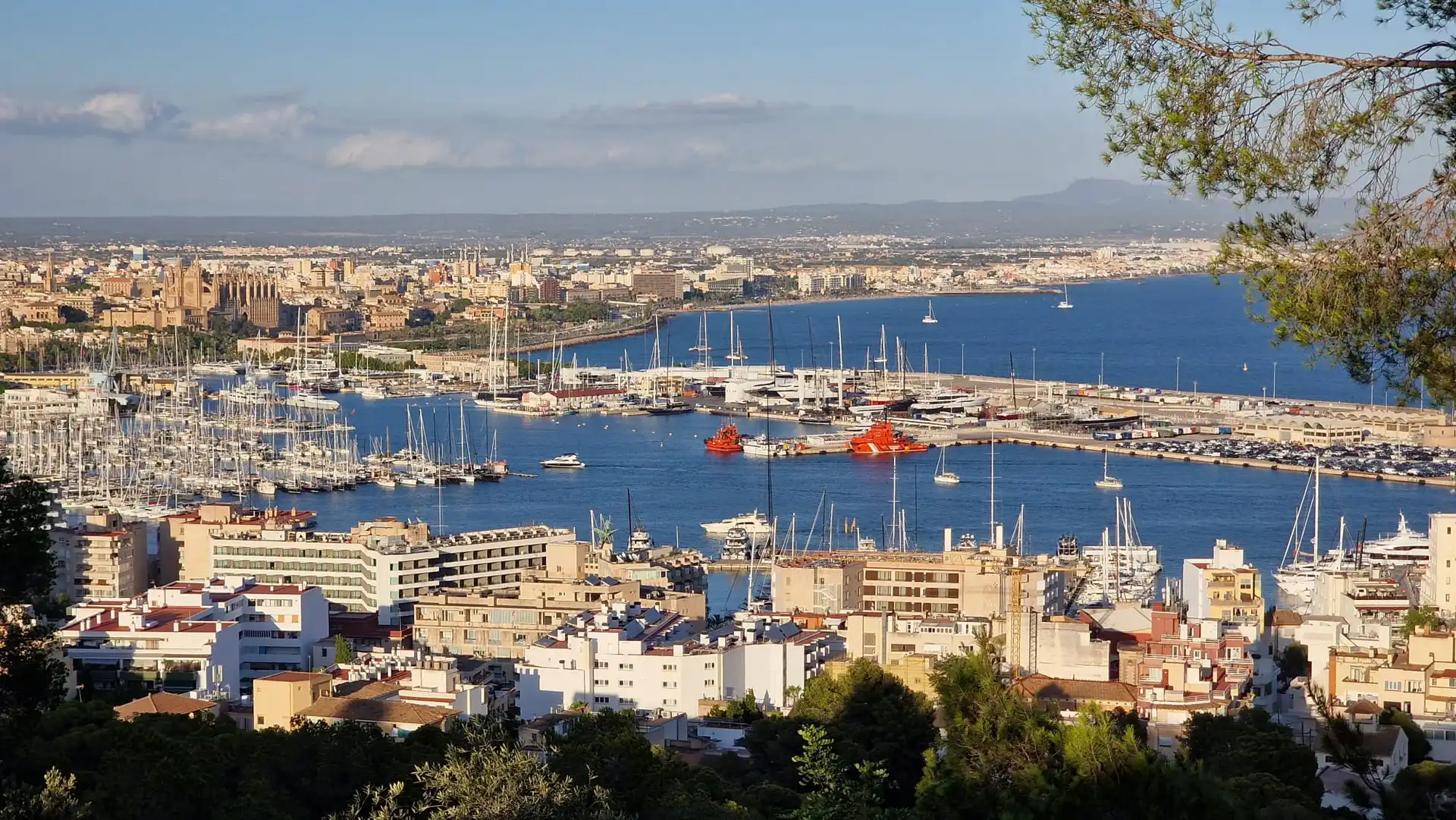 A coastal city in the Balearic Islands, Palma de Mallorca features a marina full of boats, charming buildings, and distant mountains under a blue sky—perfect for travel lovers seeking scenic beauty.