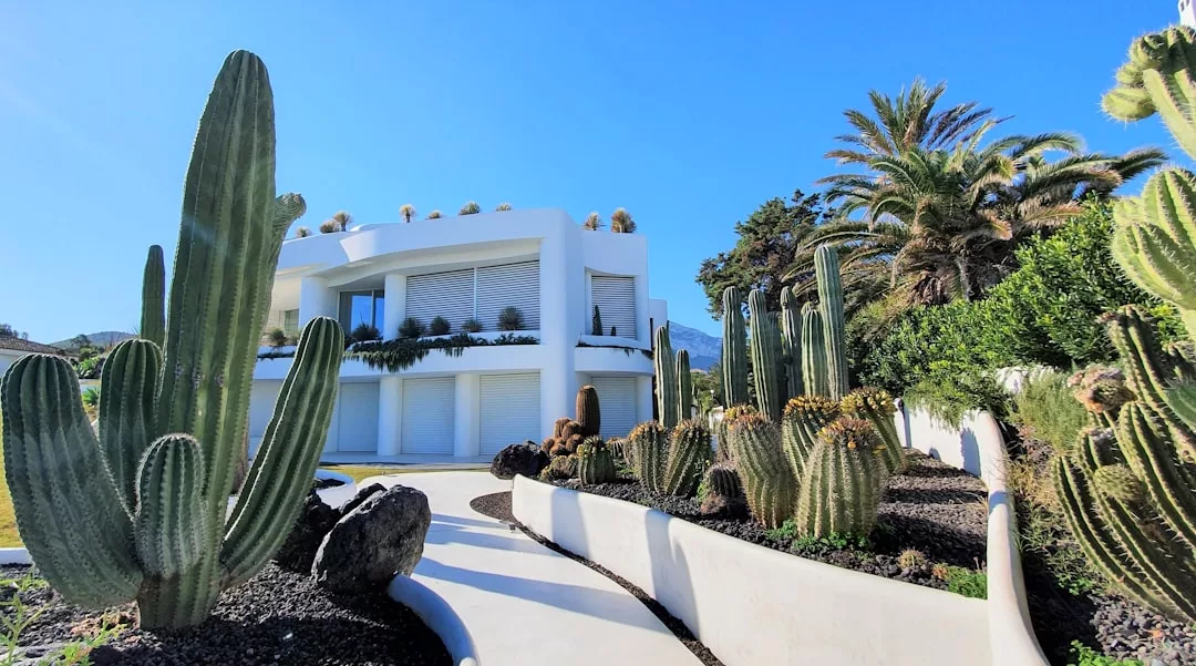 A modern white two-story house in Majorca is surrounded by large cacti, palm trees, and a curved paved walkway, offering a glimpse of luxury lifestyle under a clear blue sky.