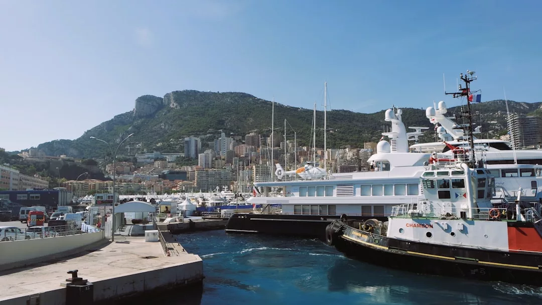 Several luxury yachts and boats docked at a marina in Majorca, with a city and green hills in the background under a clear blue sky, showcasing an elegant lifestyle.
