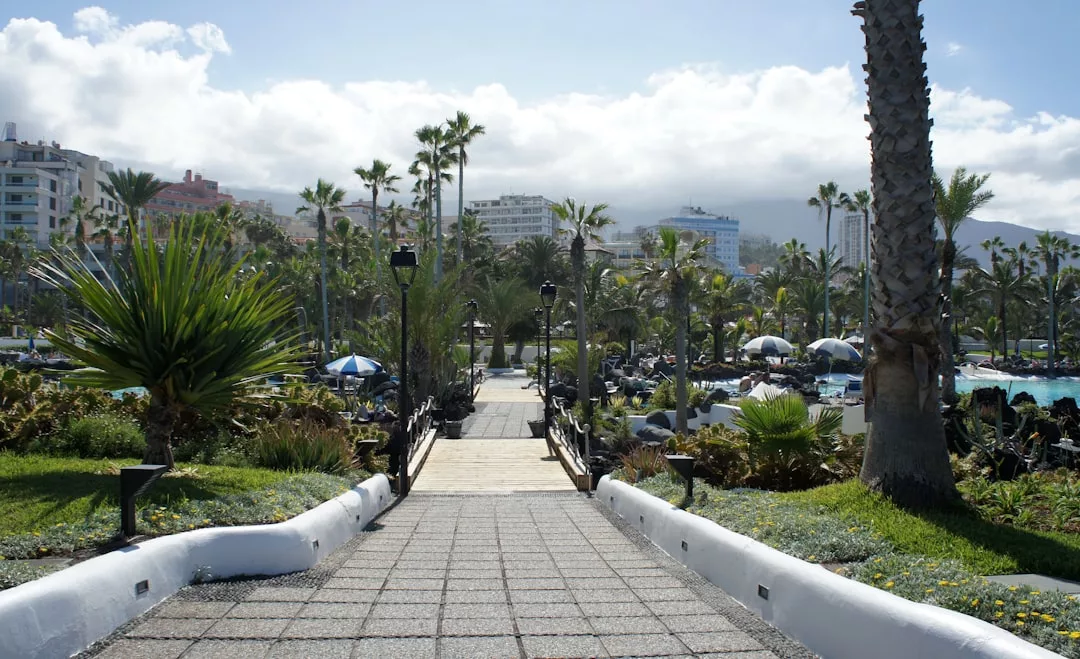 A paved walkway lined with palm trees leads to a luxury pool area with lounge chairs and umbrellas; buildings and mountains of Majorca rise in the background beneath a partly cloudy sky.