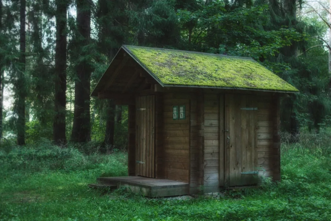 A small wooden cabin with a moss-covered roof stands in a forest clearing surrounded by tall trees and greenery, offering a peaceful lifestyle reminiscent of Majorca’s tranquil retreats.