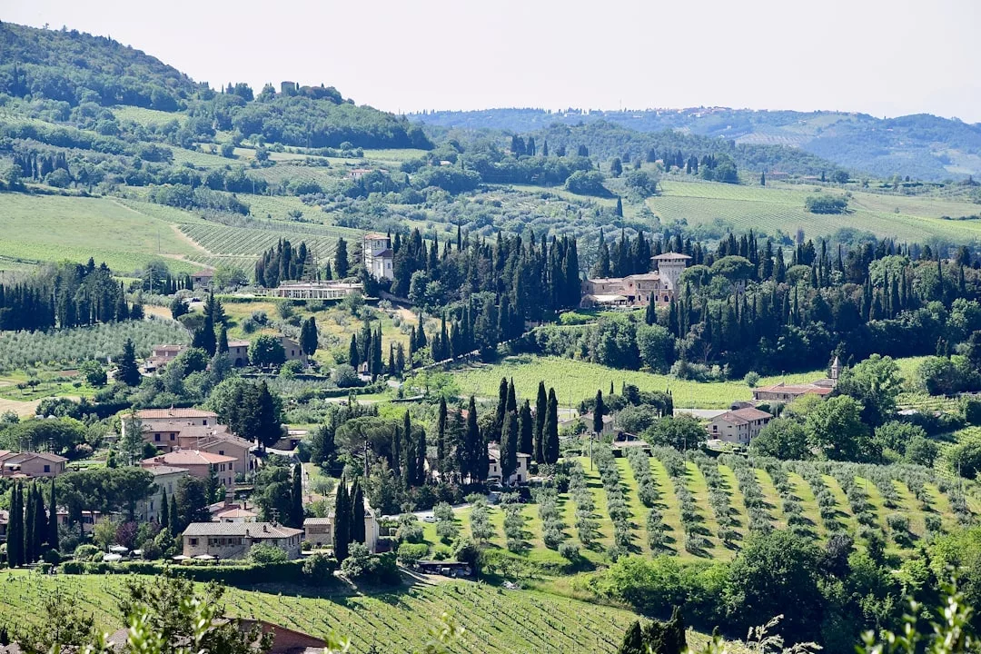 A scenic view of a rural landscape with rolling green hills, scattered houses, farms, and rows of trees captures the relaxed lifestyle of the Mediterranean countryside—reminiscent of Majorca's tranquil charm.