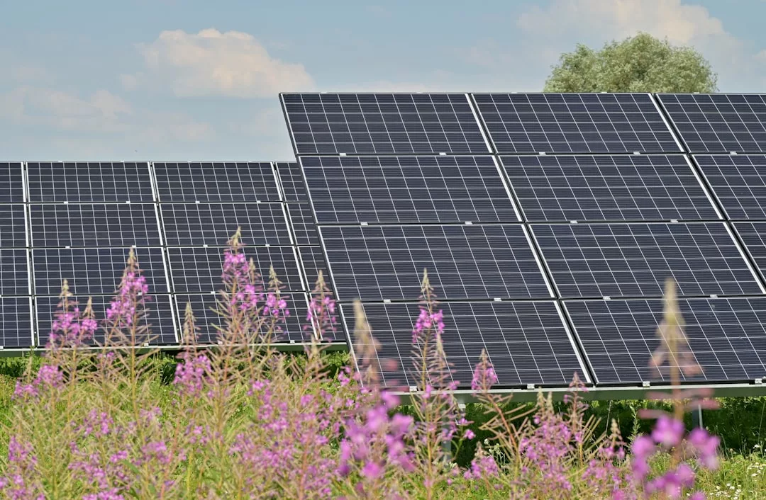 Rows of solar panels are installed in a field with purple wildflowers in the foreground, offering a glimpse of luxury lifestyle living in Majorca, with a tree in the background under a partly cloudy sky.