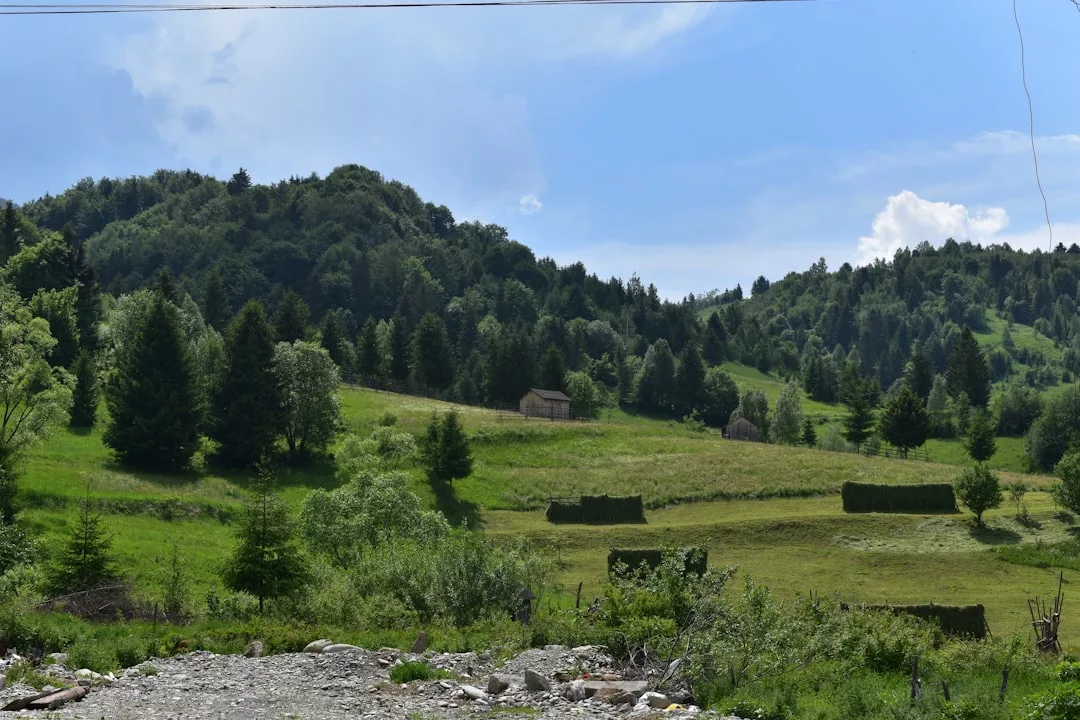 A grassy landscape with scattered trees, small wooden buildings, and forested hills under a partly cloudy Majorca sky, evoking a tranquil lifestyle.