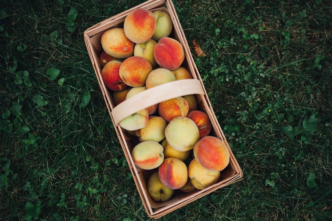 A wooden basket filled with ripe peaches sits on green grass, evoking a sense of luxury and the relaxed lifestyle of Majorca.