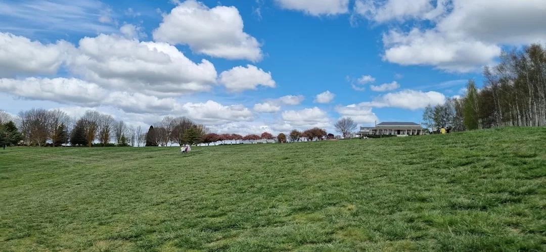 A grassy field in Majorca with a few people walking, scattered trees in the background, and a building on the right under a blue sky with white clouds creates a peaceful lifestyle scene.