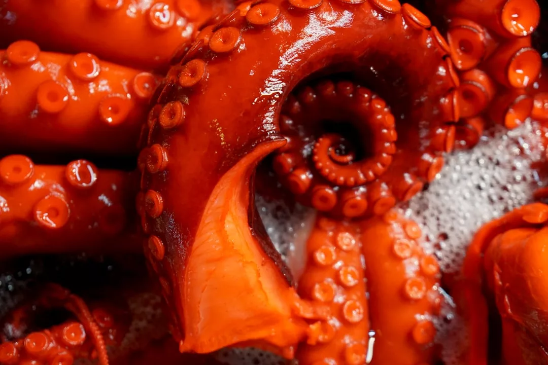 Close-up of bright red cooked octopus tentacles with visible suction cups and some foam from cooking liquid, capturing a touch of luxury lifestyle inspired by Majorca’s vibrant coastal cuisine.