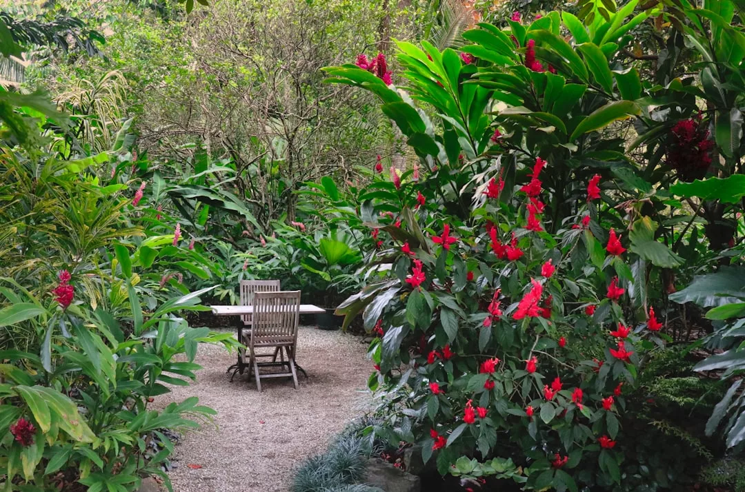 A wooden table with chairs sits on a gravel area surrounded by dense green foliage and red flowering plants, creating a touch of Majorca luxury in your garden lifestyle.
