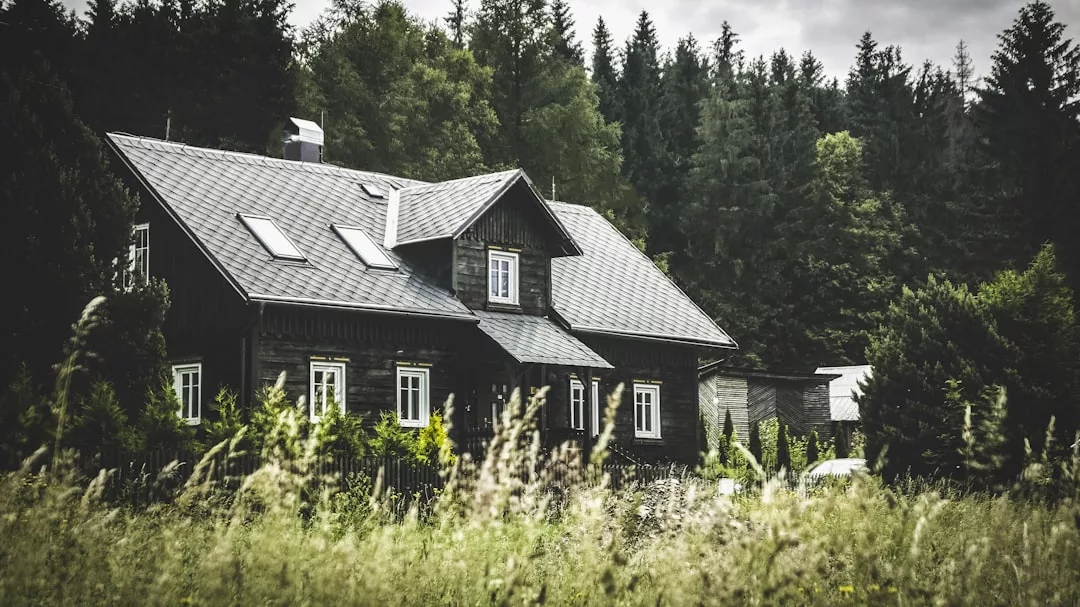 A dark wooden luxury house with a steep roof and white-framed windows stands surrounded by tall grass and dense forest under a cloudy sky, offering an exclusive lifestyle escape.