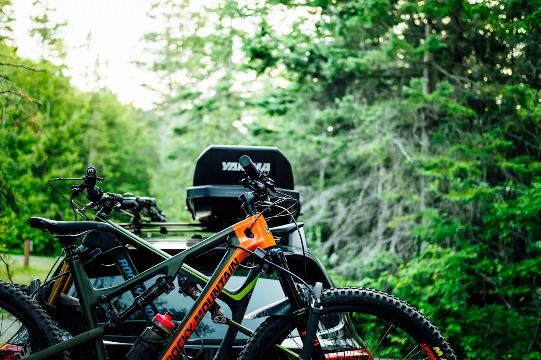 Two mountain bikes mounted on a vehicle rack in front of a dense, green forest in Majorca, with a grill attached to the vehicle—a snapshot of an adventurous lifestyle.